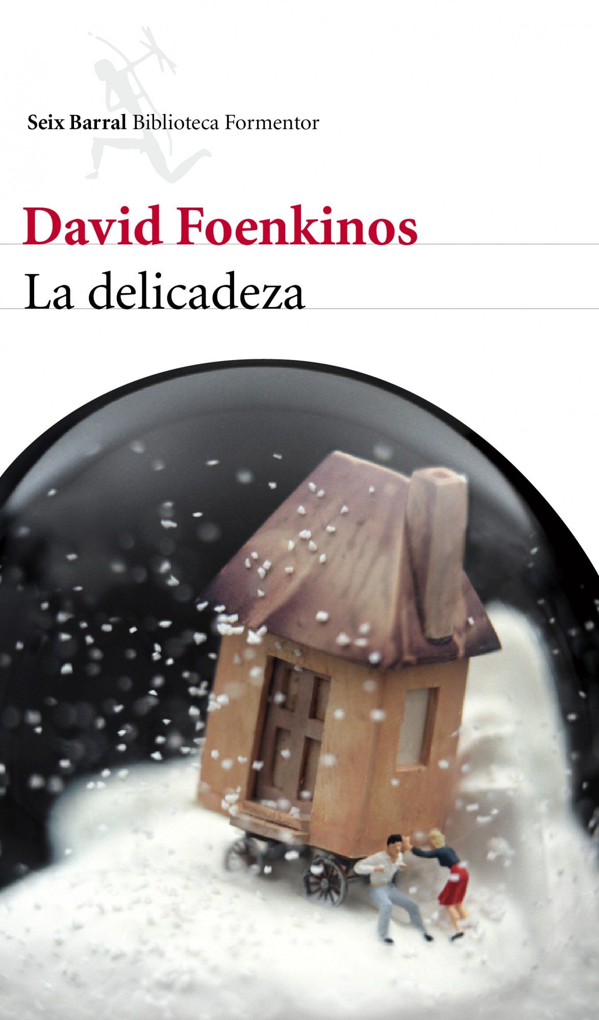 Portada libro La Delicadeza de David Foenkinos